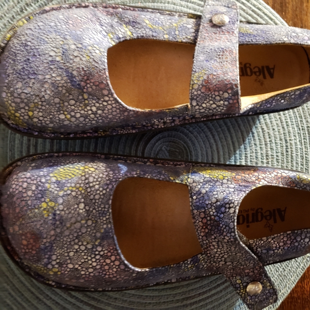 Alegria Mary Jane Shoes Sz 40 (9 US) bluish colors